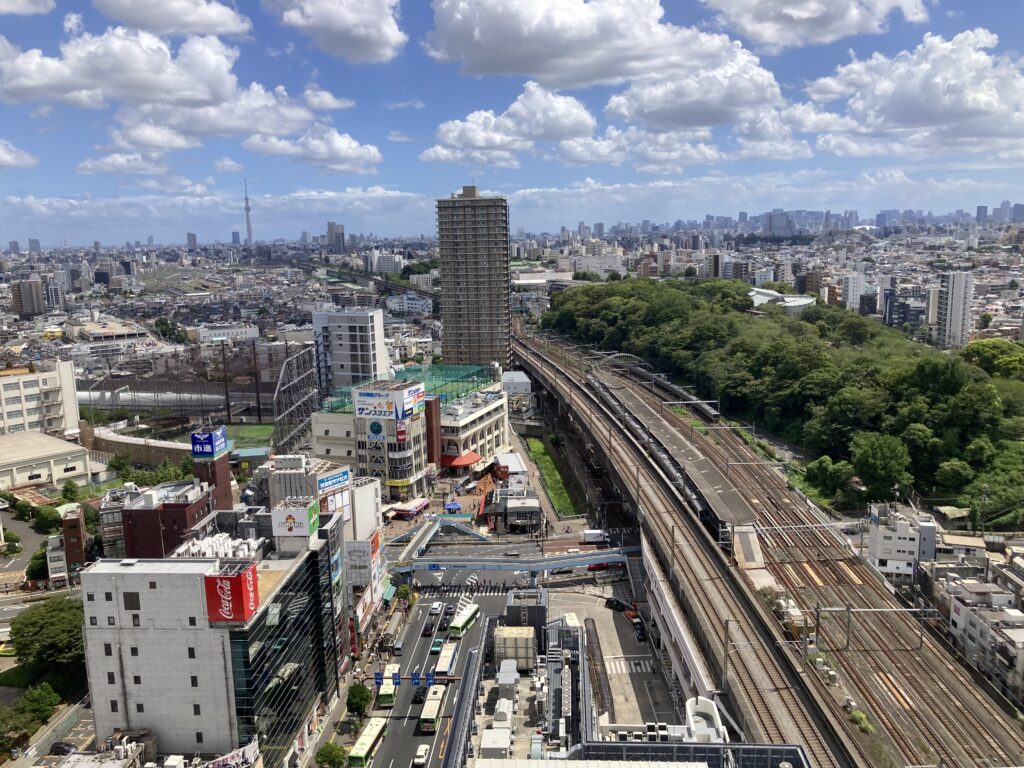 展望台からの景色