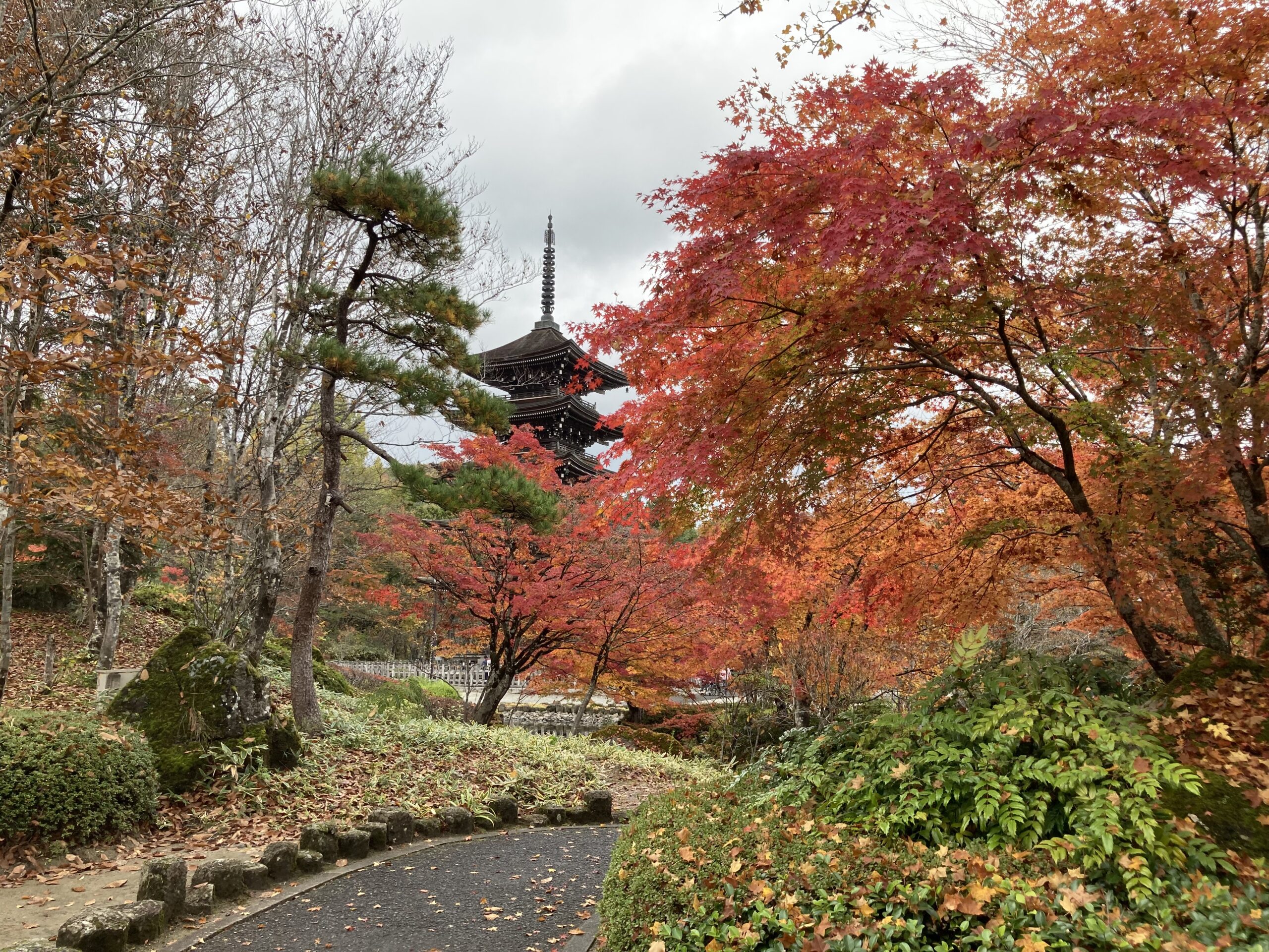 定義山五重塔景色