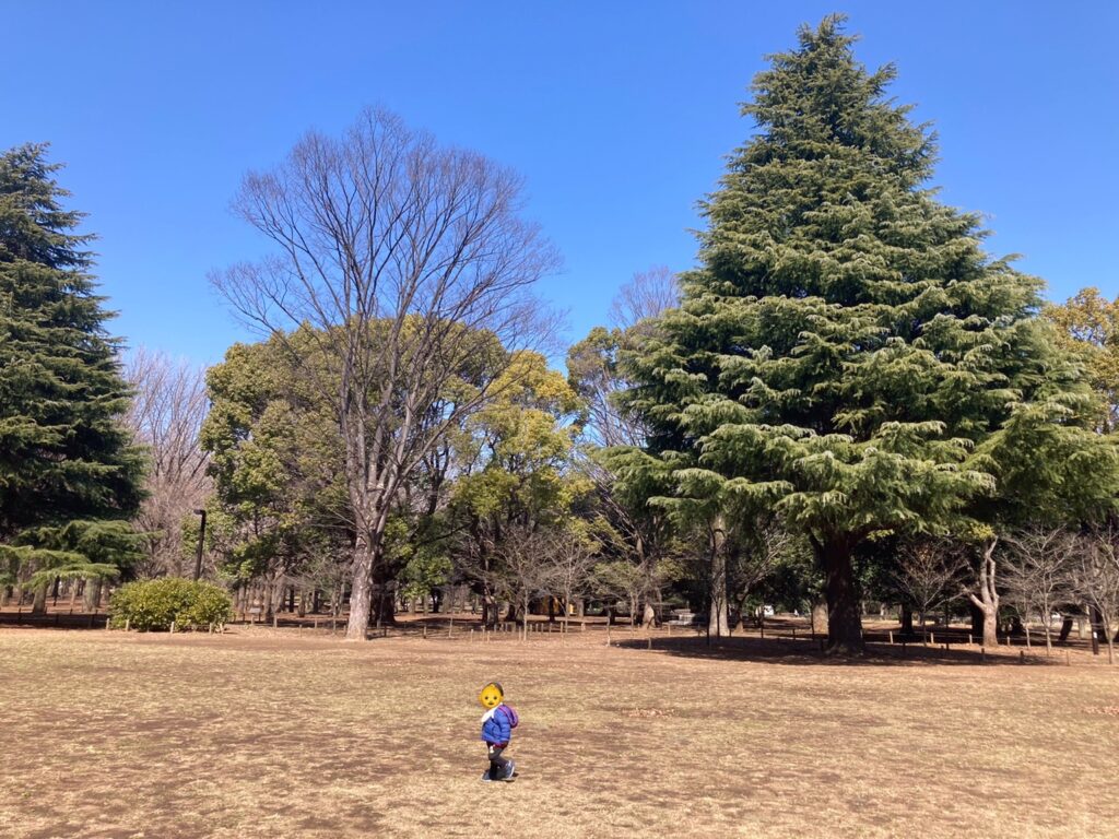 代々木公園パノラマ広場