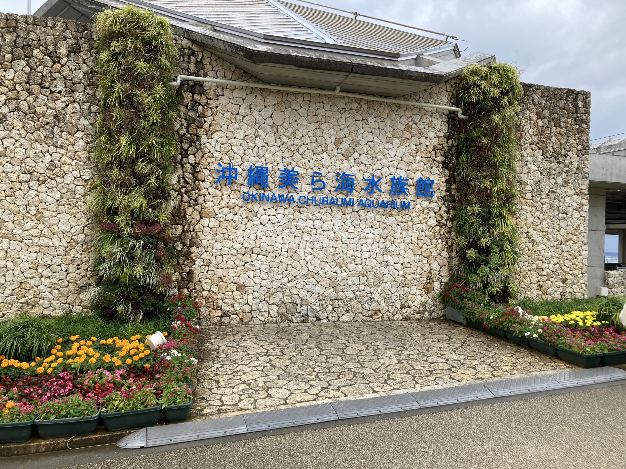 ストア 沖縄 美ら海水族館 ベビーカー