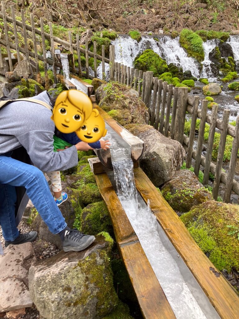 湧水に触ってみる