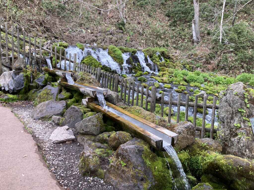 湧水口の様子