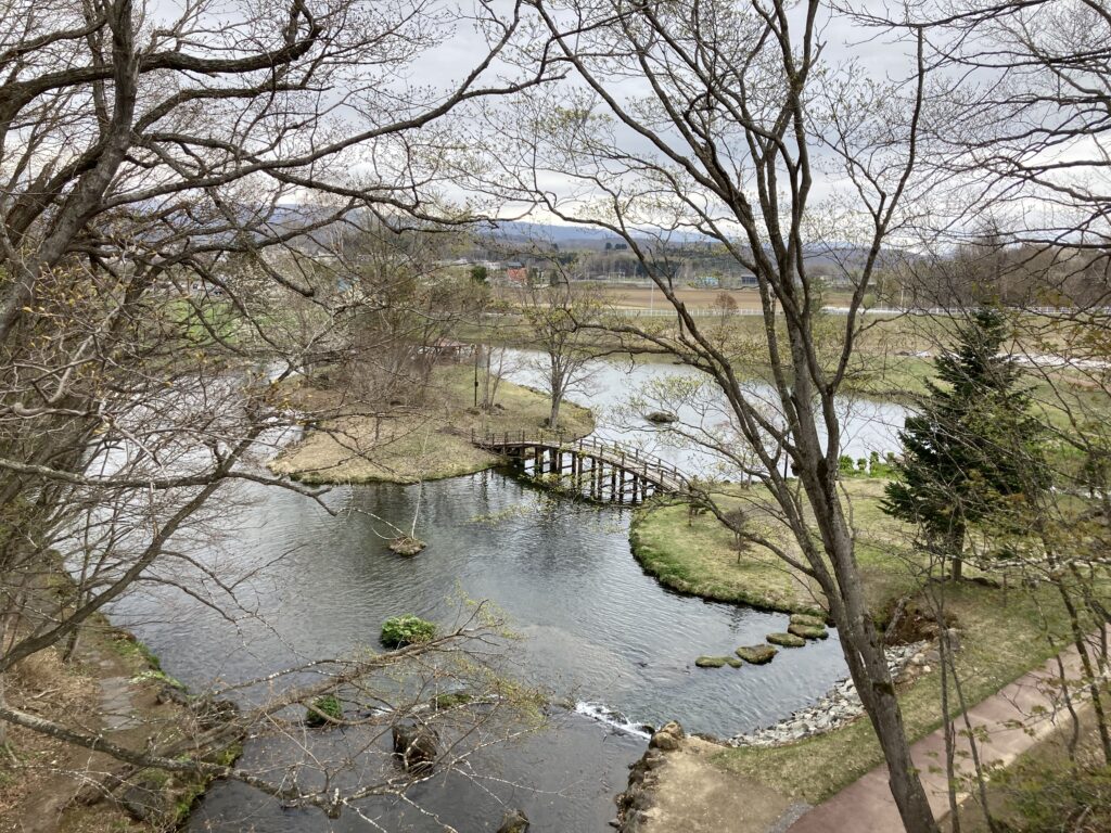 吊り橋からの景色